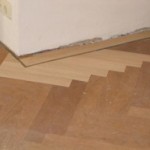 visgraat